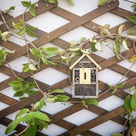 Ilheus House بيت للعطل موستيروس