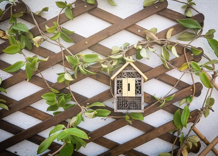 Ilheus House Tatil Evi Mosteiros (Azores)